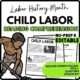 Child Labor Reading Comprehension Worksheet-Printable and Editable