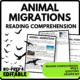 Animal Migrations Reading Comprehension Worksheet-Printable and Editable