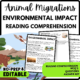 Environmental Impact Reading Comprehension Worksheet-Printable and Editable
