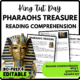 Pharaohs Treasure Reading Comprehension Worksheet-Printable and Editable