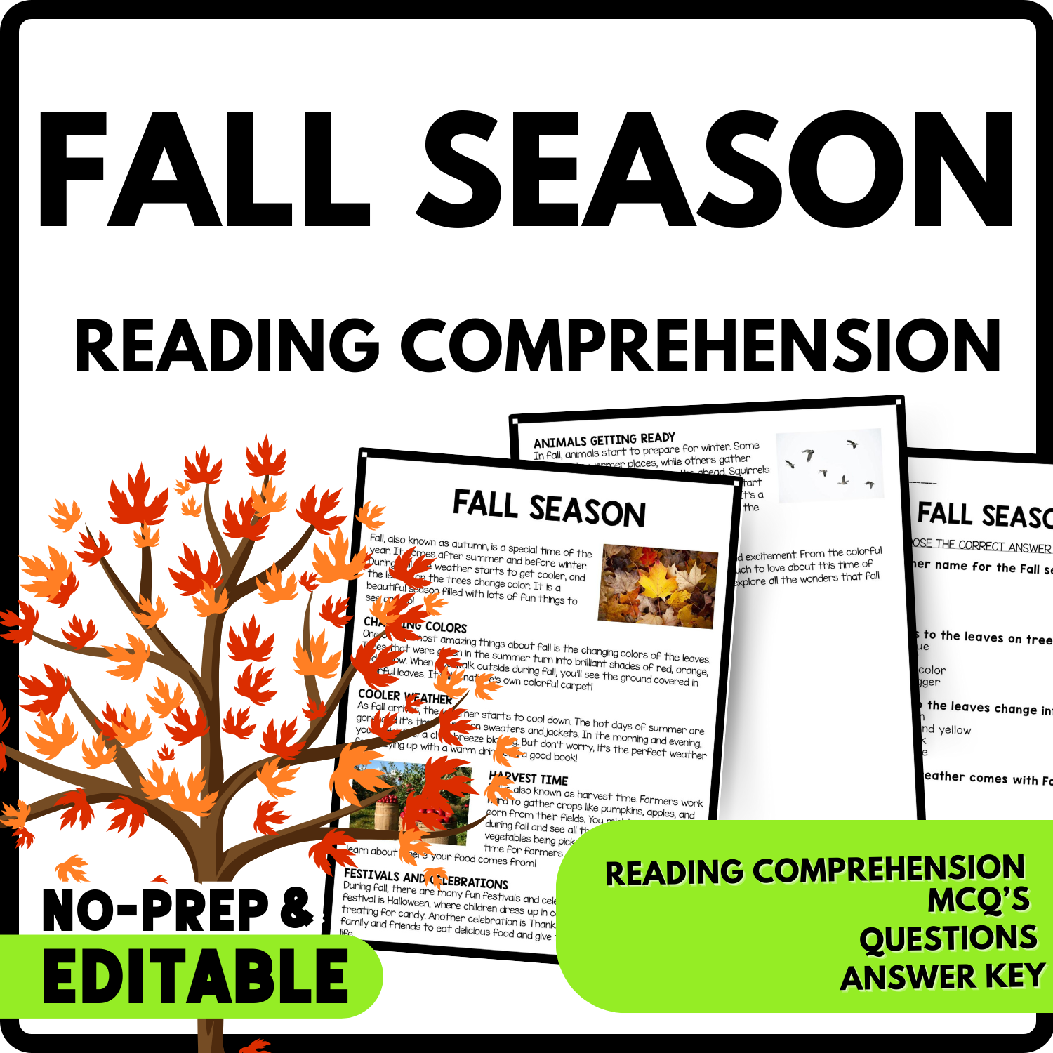 Women's History Month Fall Season Reading Comprehension Worksheet-Printable and Editable