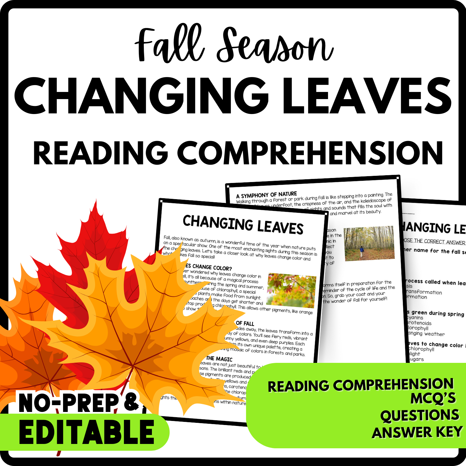 Women's History Month Changing Leaves Reading Comprehension Worksheet-Printable and Editable