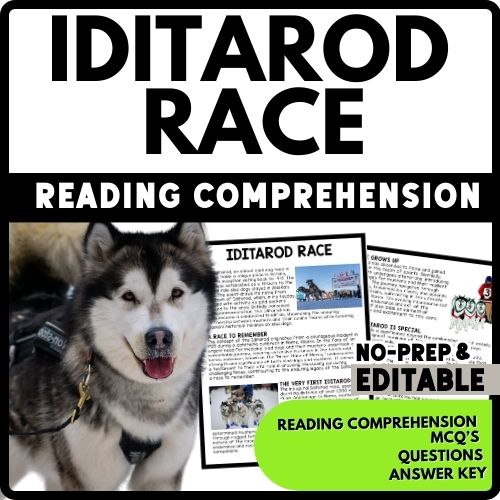 Iditarod Race Reading Comprehension Worksheet-Printable and Editable