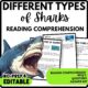 Different types of sharks Reading Comprehension Worksheet-Printable and Editable