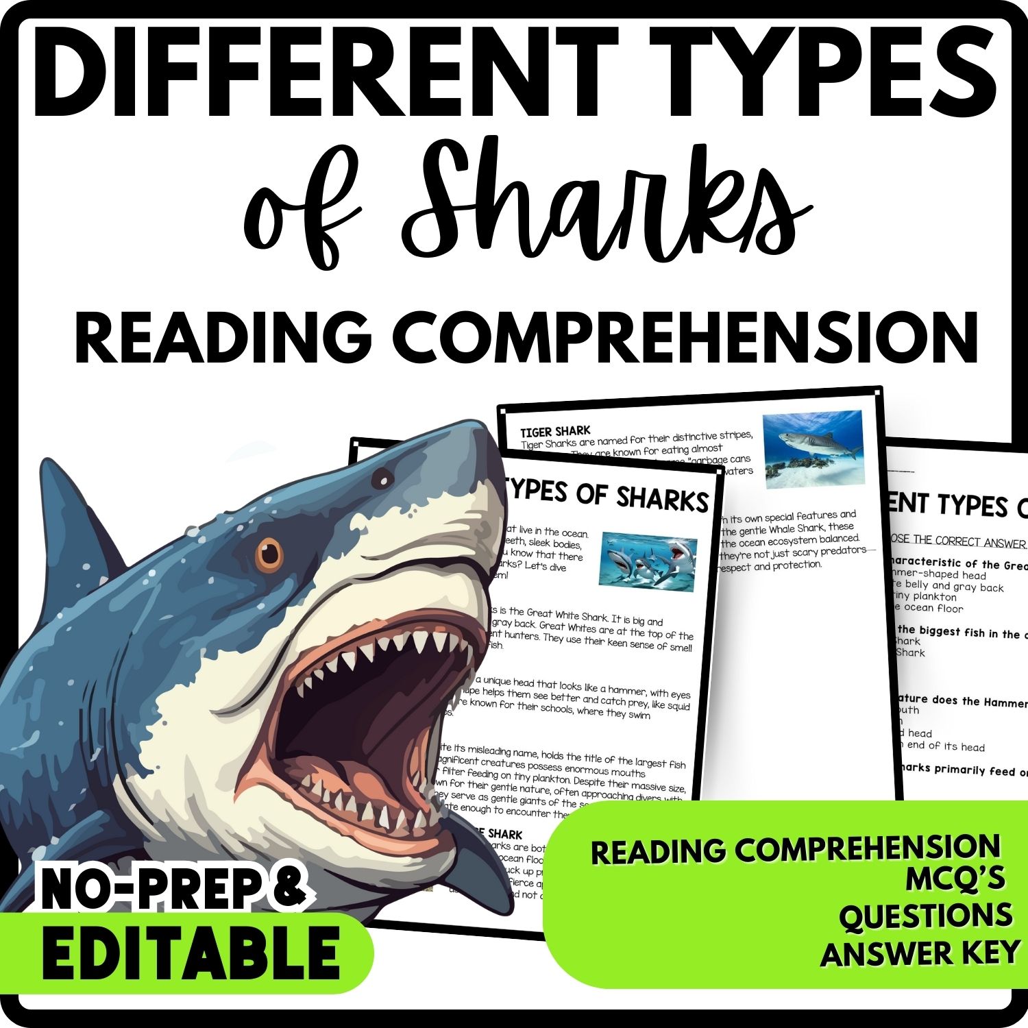 Different types of sharks Reading Comprehension Worksheet-Printable and Editable