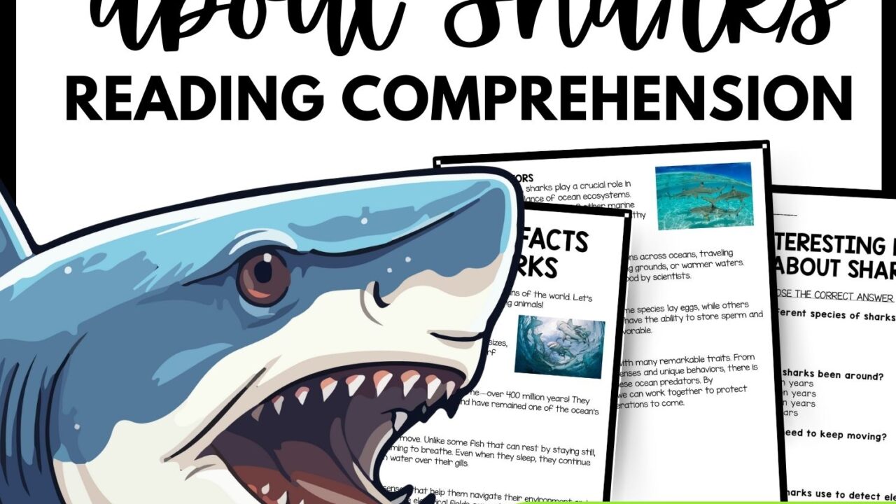 Interesting Facts About Sharks Reading Comprehension Worksheet-Printable and Editable