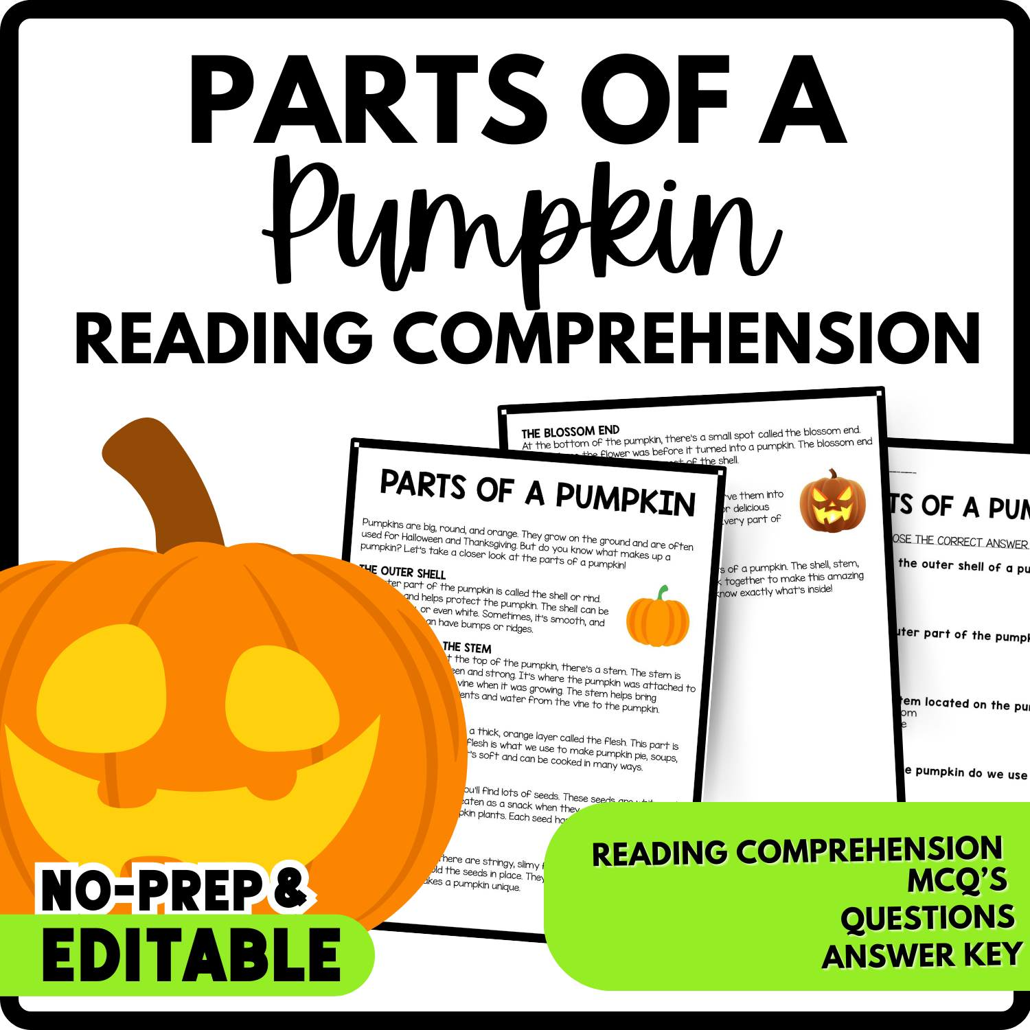 Parts of a Pumpkin Reading Comprehension Worksheet-Printable and Editable
