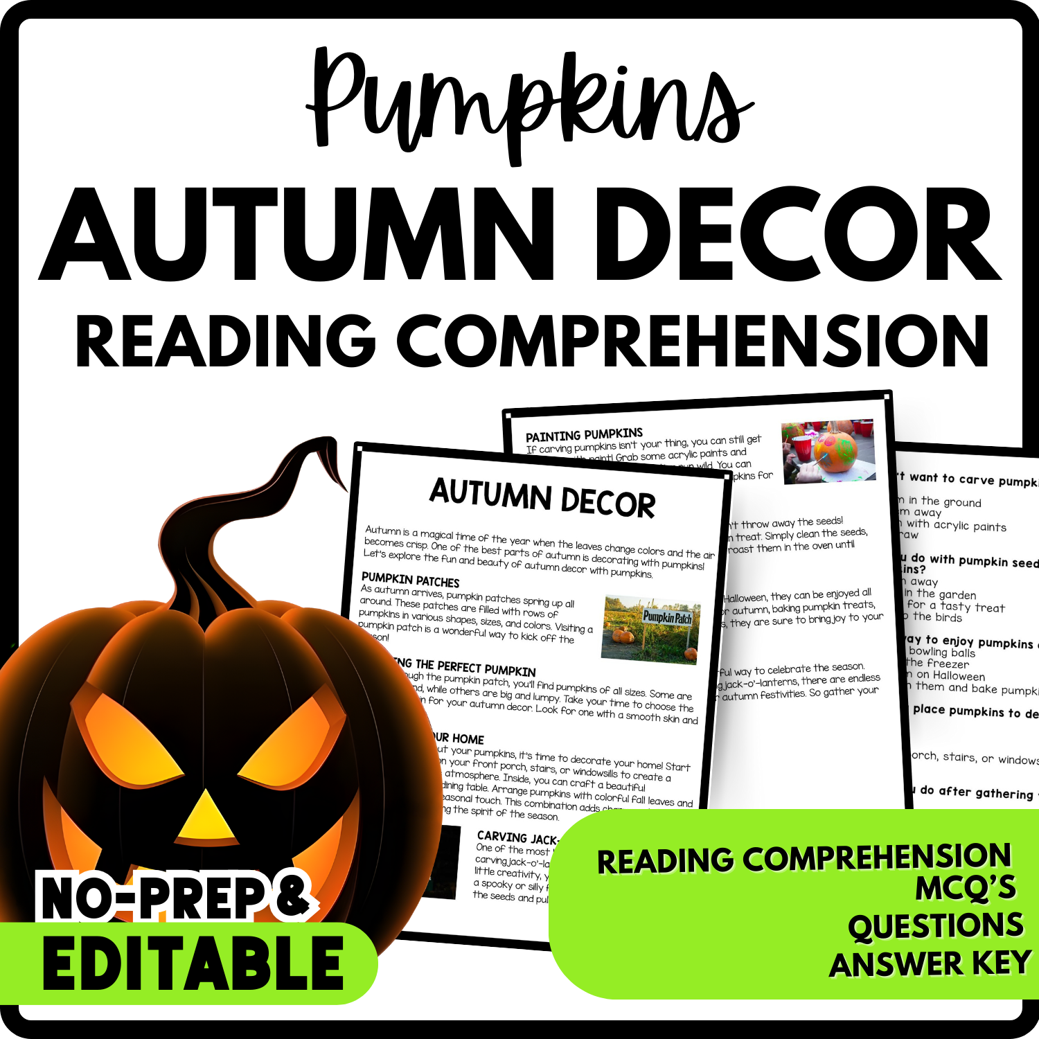 Autumn Decor Reading Comprehension Worksheet-Printable and Editable