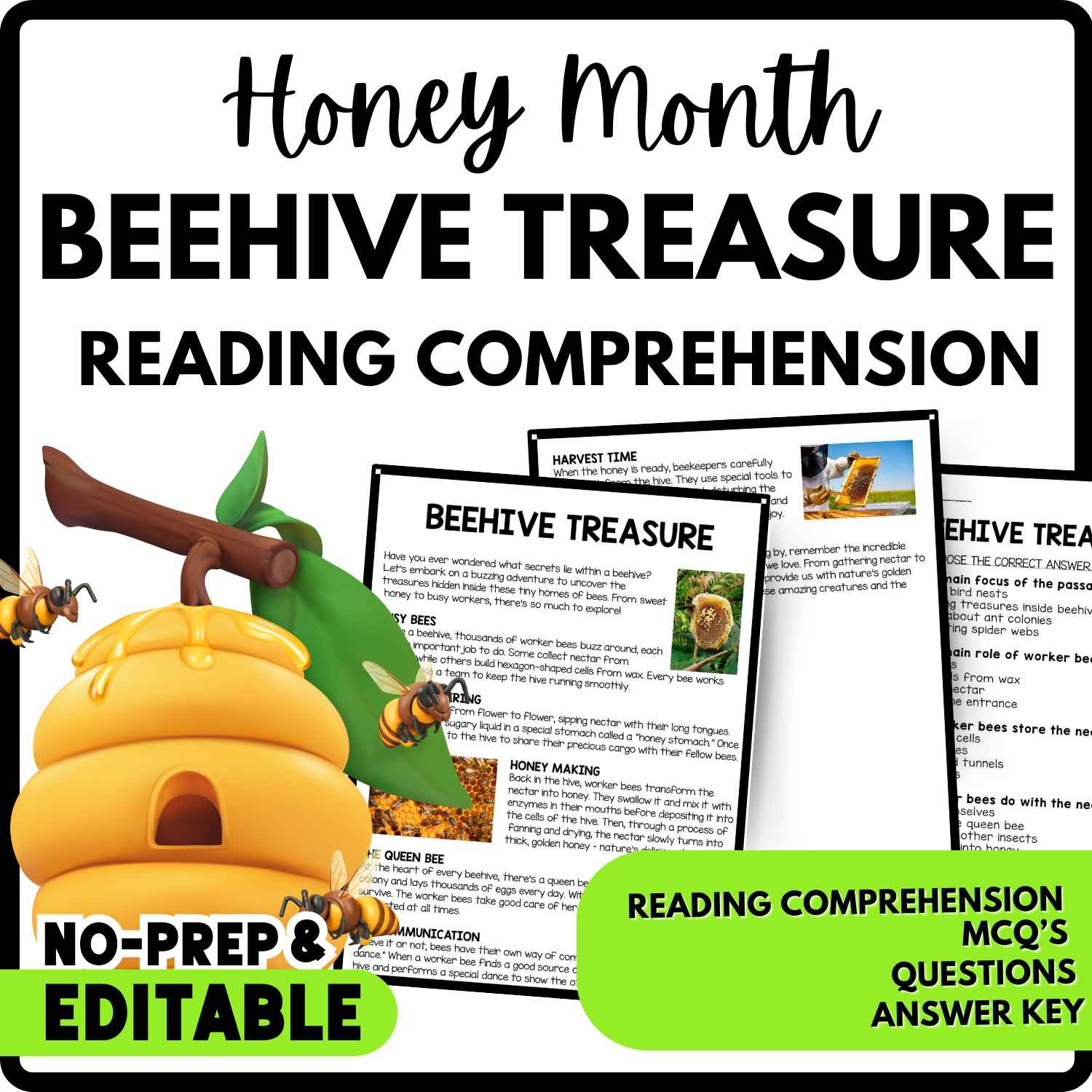 Women's History Month Beehive Treasure Reading Comprehension Worksheet-Printable and Editable