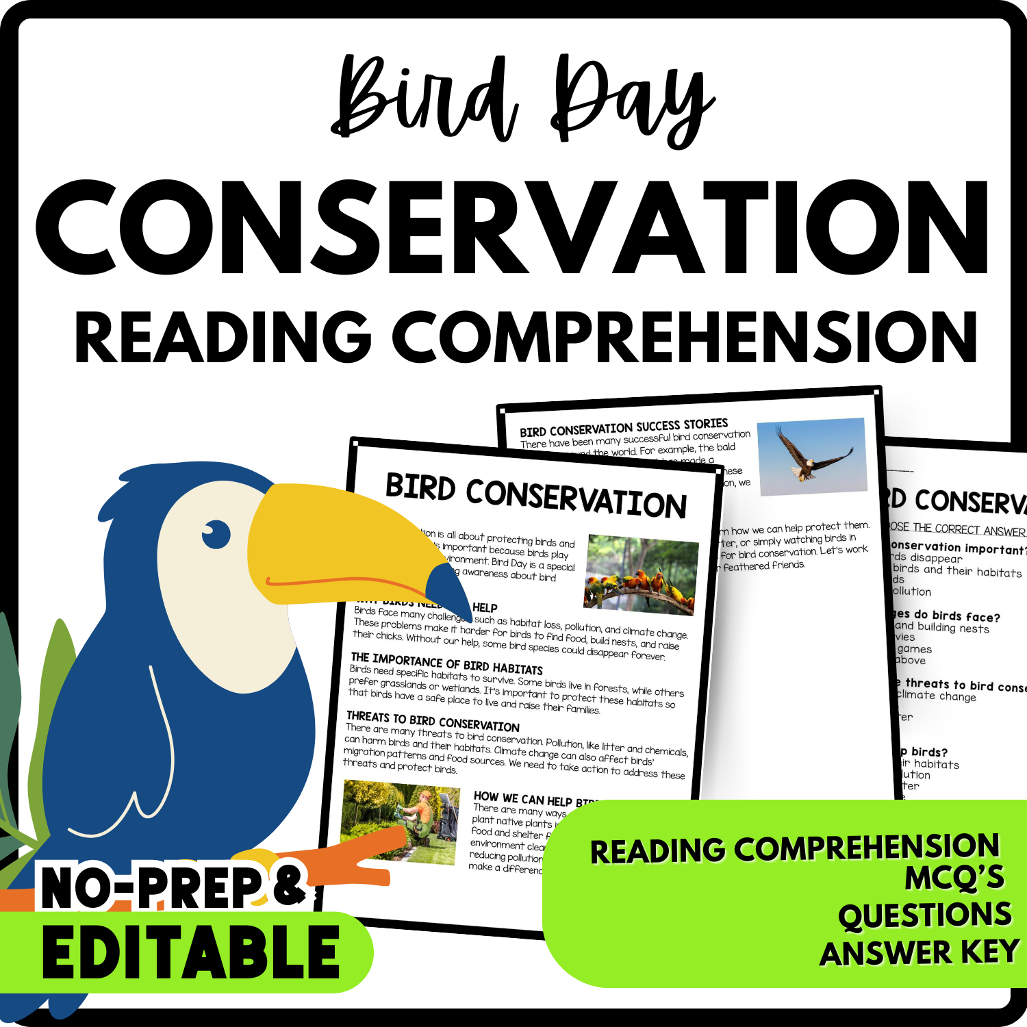 Bird Day Conservation Reading comprehension Worksheet - printable and Editable