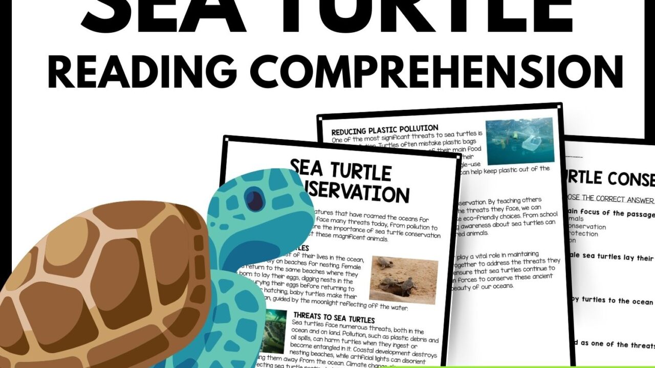 Sea Turtle Conservation Reading Comprehension Worksheet-Printable and Editable