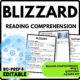 Blizzard Reading Comprehension Worksheet-Printable and Editable