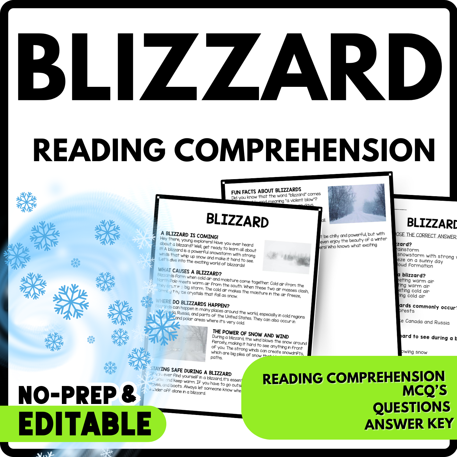 Blizzard Reading Comprehension Worksheet-Printable and Editable