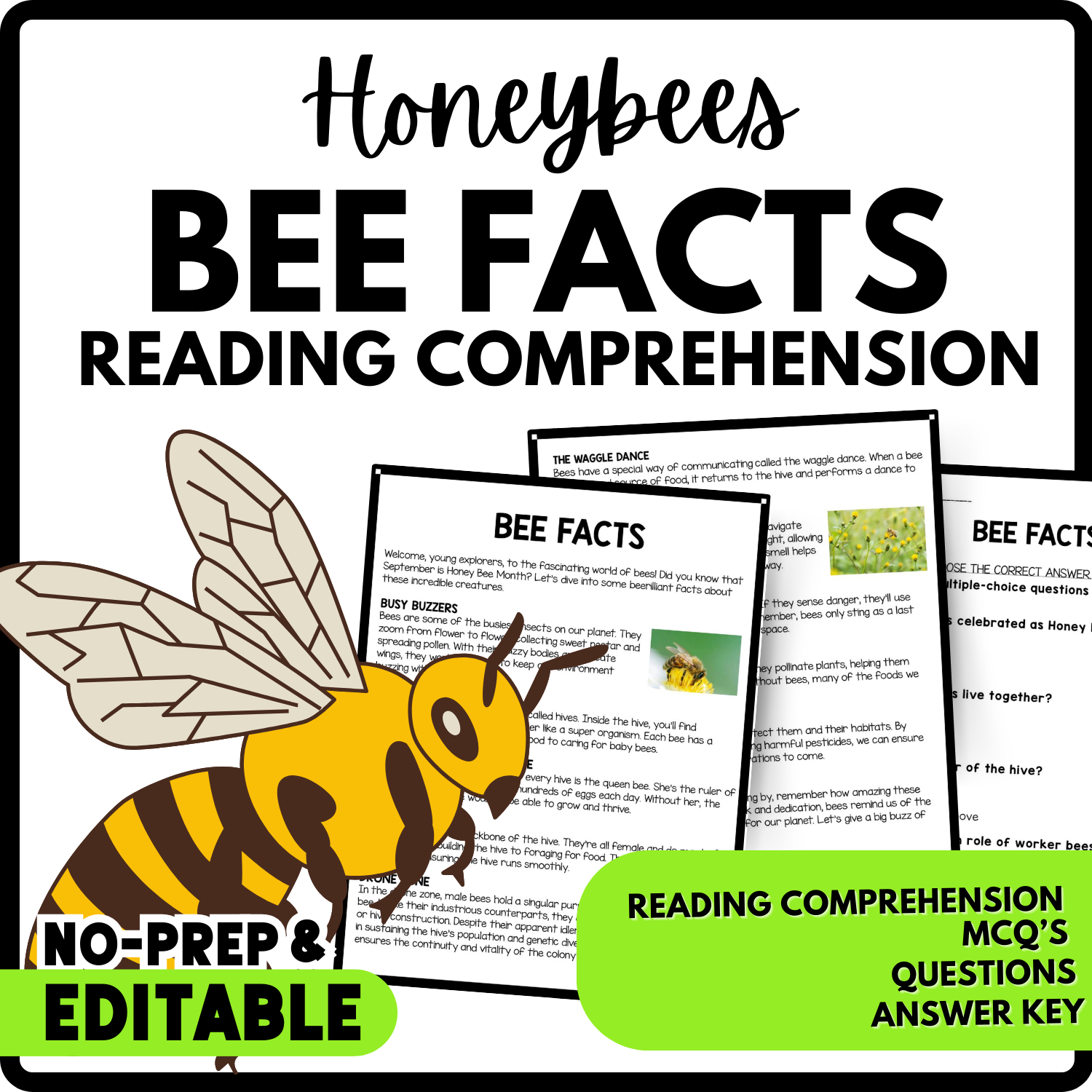 Women's History Month Bee Facts Reading Comprehension Worksheet-Printable and Editable