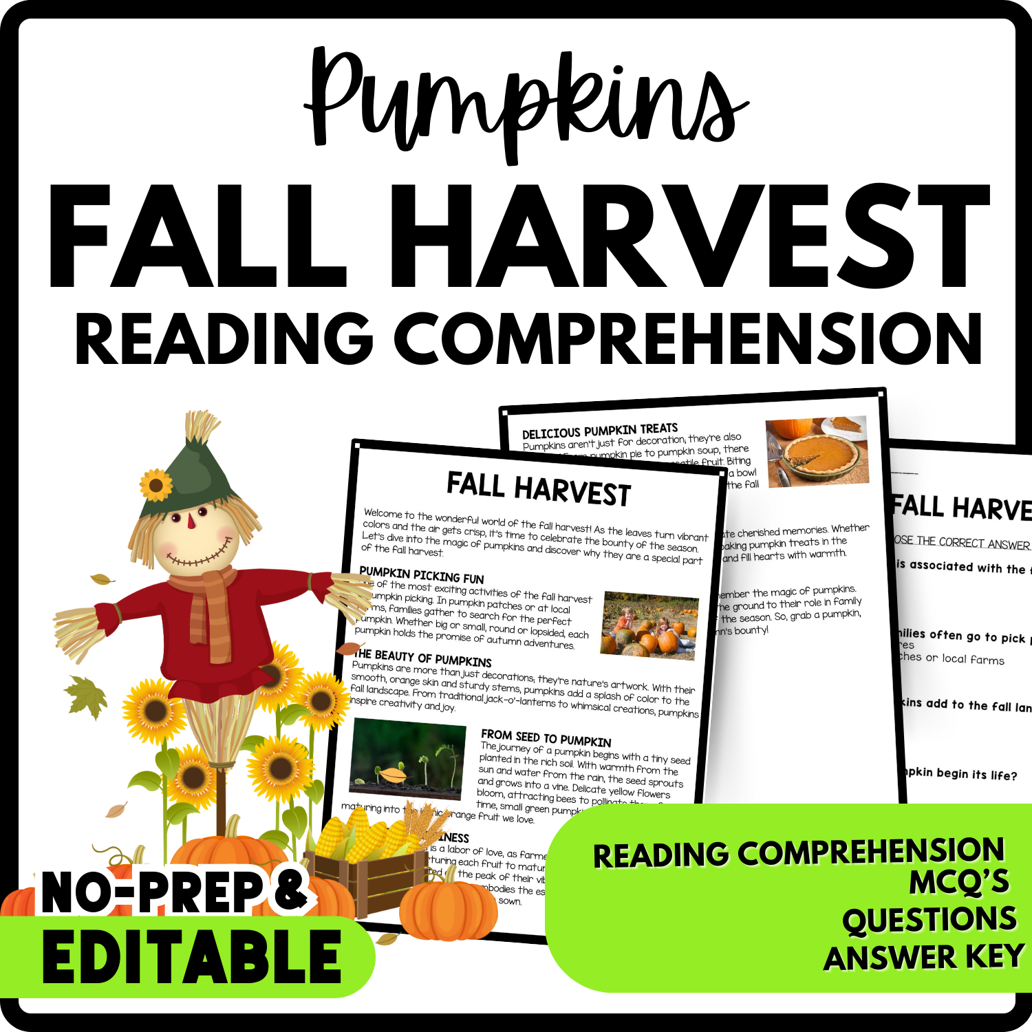 Reading Comprehension Worksheet-Printable and Editable