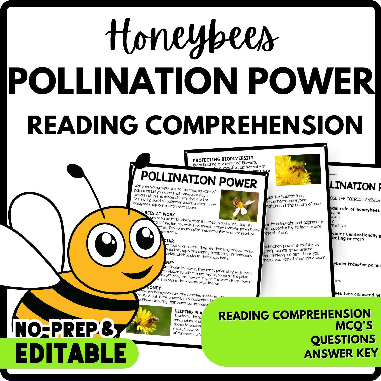 Pollination Power Reading Comprehension Worksheet-Printable and Editable