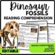 Dinosaur Fossils Reading Comprehension Worksheet-Printable and Editable