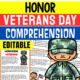 Veterans Day Honor Reading Comprehension Worksheet-Printable and Editable