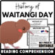 Waitangi Day Reading Comprehension Worksheet-Printable and Editable